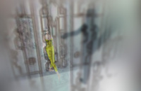 Archidance始まりました 2016/04/11 08:00:00