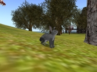 Bunny Hunt Alice in RMK Gothic 2012/03/31 21:34:47