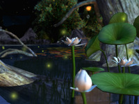 『ほたるの森～Firefly Forest』【SL24】 2011/08/07 01:40:00