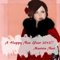Happy New Year 2012 2012/01/03 19:58:08