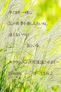ちょっぴり・・・。 2013/09/14 22:34:16