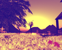 Autumn leaves 2013/09/18 19:27:50