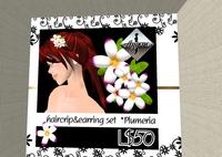 本日の逸品　hairclip ＆ earring　set 2008/01/13 12:04:47