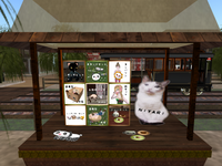 Roman 2009/07/14 02:52:54