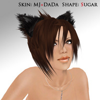 Skinのアイテムキャンプ　予告 2008/02/17 03:43:05