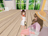 クーロンの猫展☆