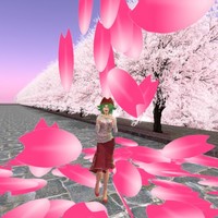 ピュアエンジェルでお花見しませんか？ 2009/03/28 14:53:52
