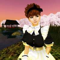 CafeCinderellaが生まれ変わりました! 2009/04/20 13:34:02