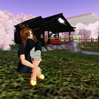 桜散る 2009/04/29 21:58:38