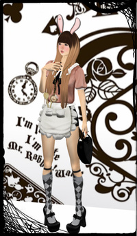 The White Rabbit 2012/11/10 20:42:59