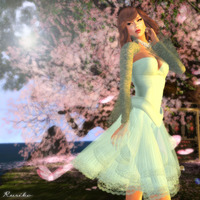 Blossoms Joli 2011/04/30 23:02:03