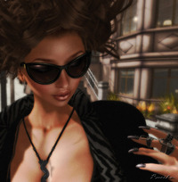 Dark Tiger 2010/09/27 19:10:03