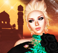 Diana 2010/03/09 21:33:58