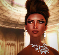 Purple Empress 2009/12/25 17:35:00