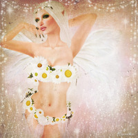 Fairy 2010/05/02 20:29:14