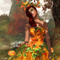 My Autumn 2010/10/04 18:48:06