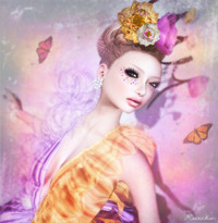 Flower&Butterfly 2011/10/15 11:09:25