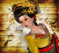 Geisha Girl 2010/11/10 20:24:24