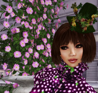 Purple Town 2009/11/15 10:26:50