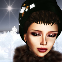 Winter Scene 2 2010/01/27 18:45:58