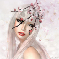Spring in Pink 2013/01/23 18:25:52