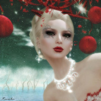 Christmas Couture 2010/11/29 20:48:02