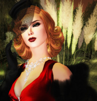 Dietrich 2009/12/17 17:22:14