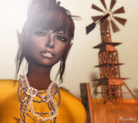 Black Cutie 2010/05/26 18:48:45