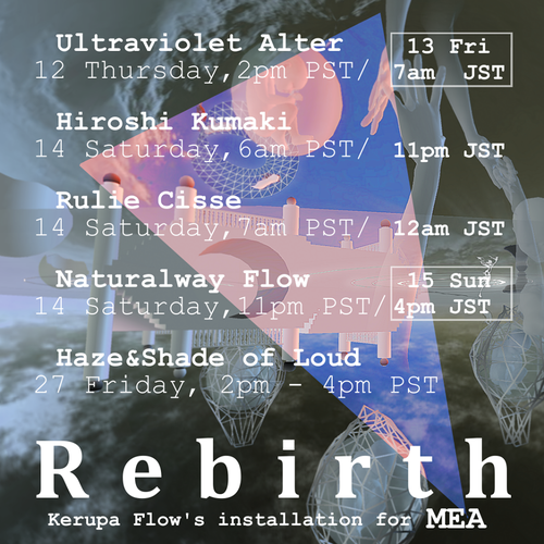 rebirth / Kerupa Flows installation for MEA rebirth / Kerupa Flows installation for MEA