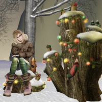 Decorated Stump　ハント♪ 2013/12/18 20:41:23