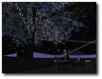 nocc. の冬の木 2010/12/04 09:35:00