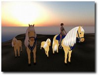 Hunt!! SL Mothers Day 2011/05/13 06:45:00