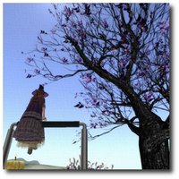 50%off!! nocc. Dead tree 2011/10/26 04:15:00
