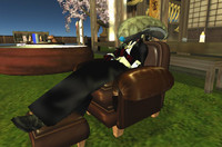 Blue Rose 2009/04/16 10:22:08