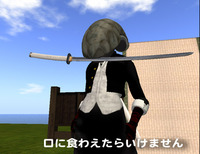 C:SI刀、注意事項 2009/03/05 16:36:00