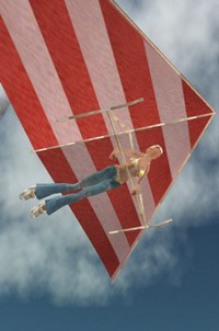 墜落・・・ 2007/06/22 08:11:13