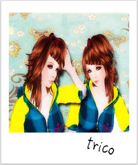 **VOiCE**trico 2010/03/21 09:15:00
