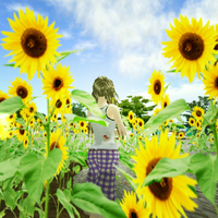 向日葵 2009/08/13 20:24:11