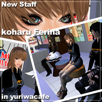 カフェ制服。 2009/06/20 11:49:22