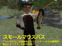 NIRのお魚達① 2008/11/10 23:27:40