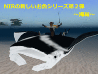 NIRのお魚達② 2008/11/13 22:21:51