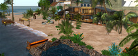 無料配布「モテ❤カワPOSE」＆ Surf Botanica 2008/03/10 21:11:58